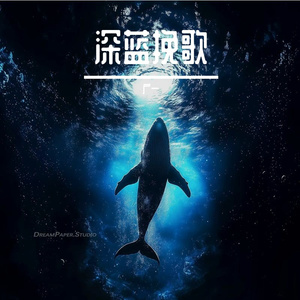 深蓝挽歌