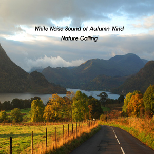 백색소음 가을바람소리