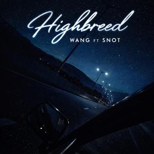 HIGHBREED (feat. SNOT)