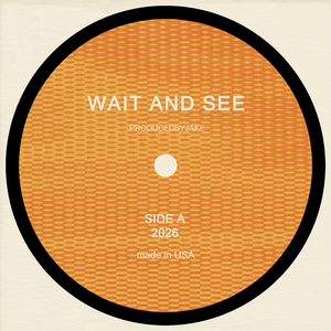 WAIT AND SEE