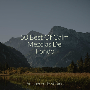 Reverie Brillante Mística