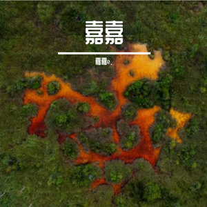 一抹粉尘