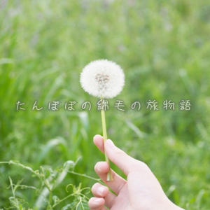 たんぽぽの綿毛の旅物語