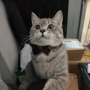 Burn Me Down(COVER hanji)