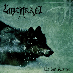 Journey Through Inner Landscapes