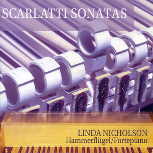 Keyboard Sonata K213 in D minor