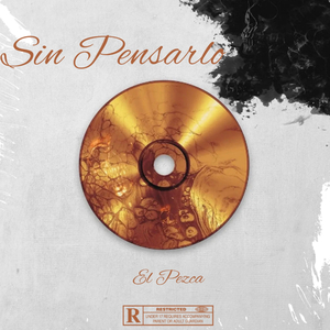 Sin Pensarlo
