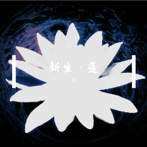 新生——莲