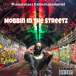 Mobbin In The Streetz