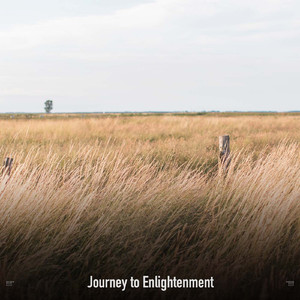 Enlightenment