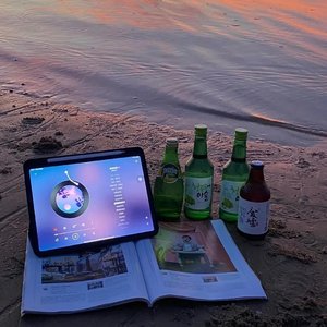 云烟成雨 晚安版（cover房东的猫）