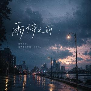雨停之前