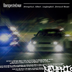 UNEXPECTED.wav