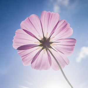 Is