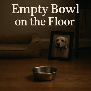 Empty Bowl On The Floor