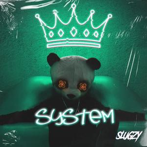 System