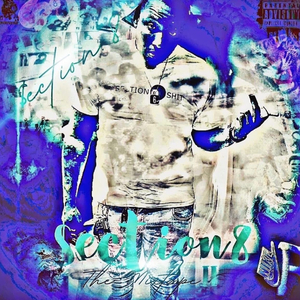 Undefeated (feat. Lakeith Daniels & Animoe)