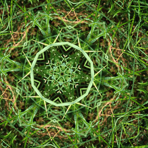 Amid the buzzing world