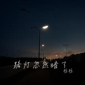 路灯忽然暗了