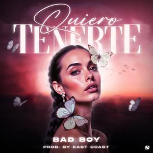 Quiero Tenerte