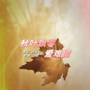 秋叶飘零爱难留DJ 伴奏