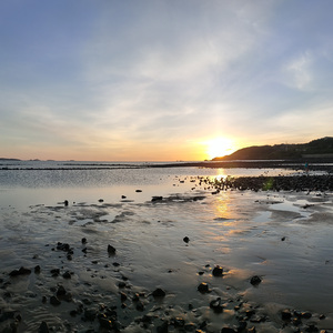 20240425_163411556cover