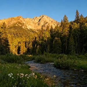 人间白首 (平安是福 Remix)