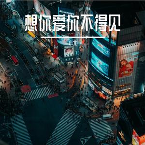 想你爱你不得见