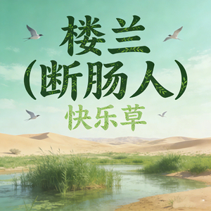 楼兰 (断肠人)