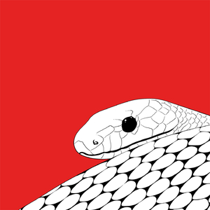 Snakeoil (Rosa Klebb Remix)