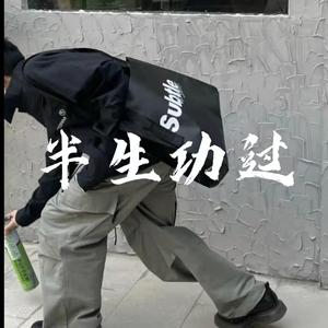 半生功过