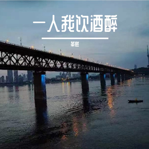 一人我饮酒醉