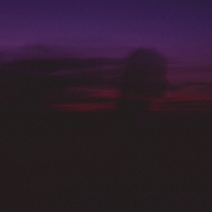 drinking in the library (stripped version)