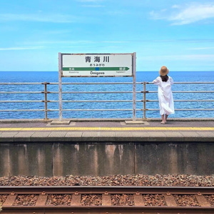 周遊する銀鱗のひとつ