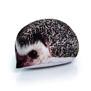 Рэп для ёжиков