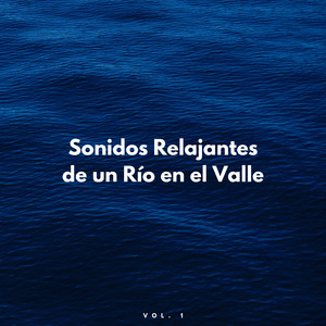 Sonidos De Arroyos Burbujeantes