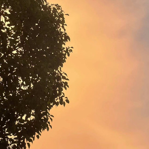 Escitalopram Oxalate