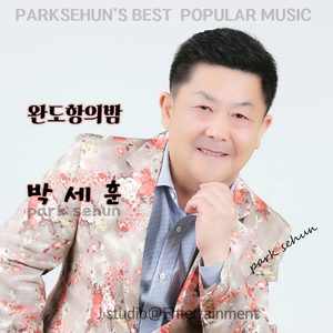 완도항의 밤 (MR)