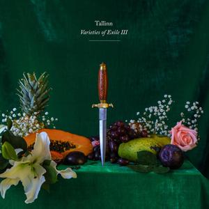 The Limits of My Language