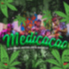 MC RF3 - Medicação