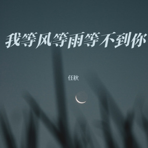 我等风等雨等不到你