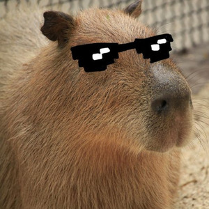 Capybara Song [Tik Tok Version] (Remix)