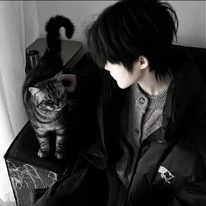 寂寞的人唱着伤心的歌（抖音热播版）