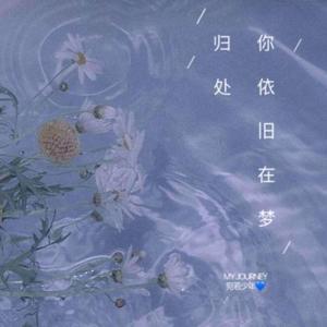 梦的姑娘