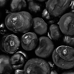 Conkers