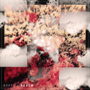 Reach