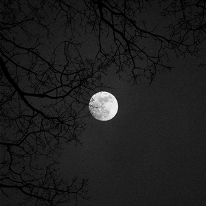 Чёрная судьба