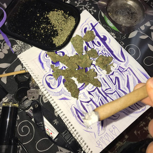 CONECTA INSANA MICH-OAX