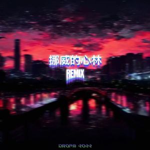 挪威的森林（dropb remix）