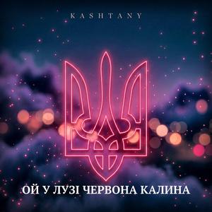 Ой у лузі червона калина